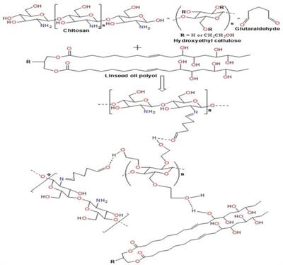 Development of Multifunctional Biopolymeric Auto-Fluorescent Micro- and Nanogels as a Platform for Biomedical Applications